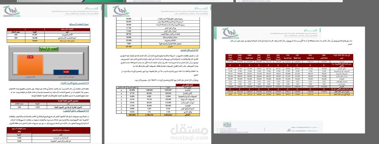 دراسه جدوي مشروع استيراد و تعبئه مكملات غذائية