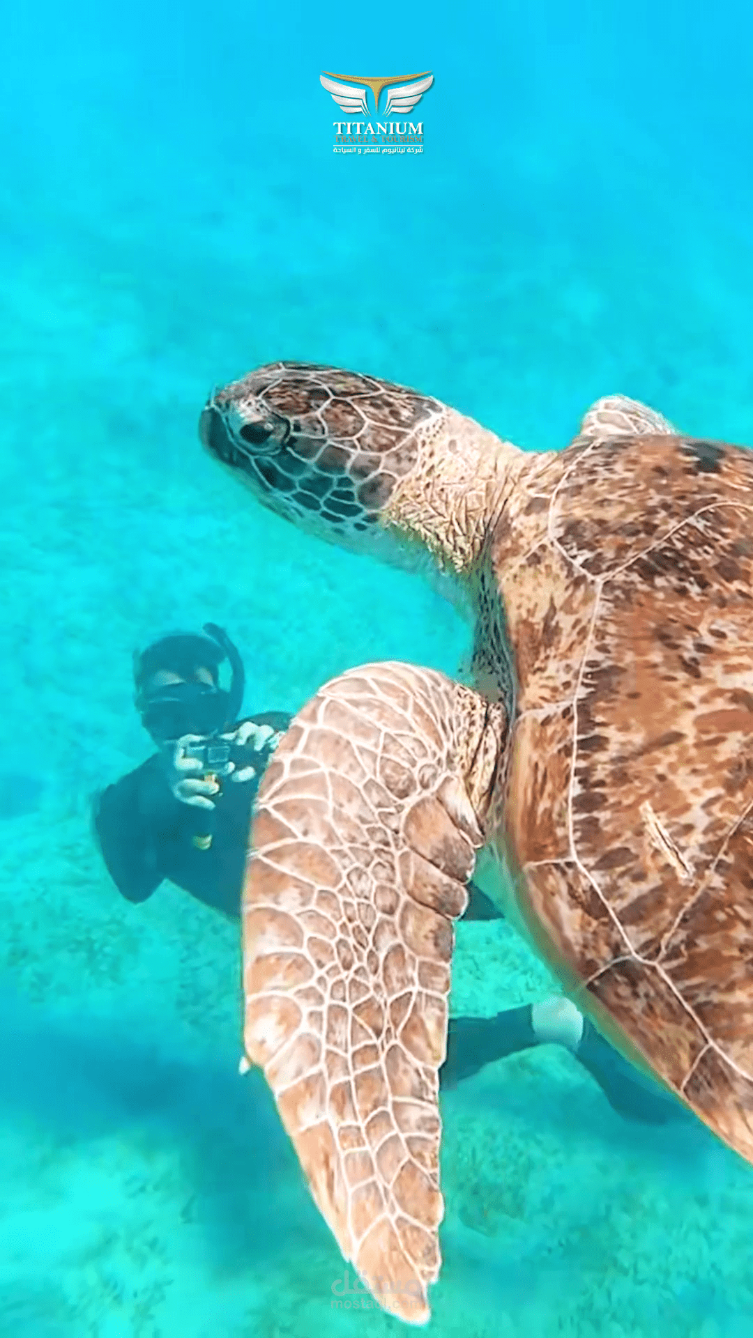 الجمال الطبيعي لمرسى علم Cinematic Travel Reel – Marsa Alam