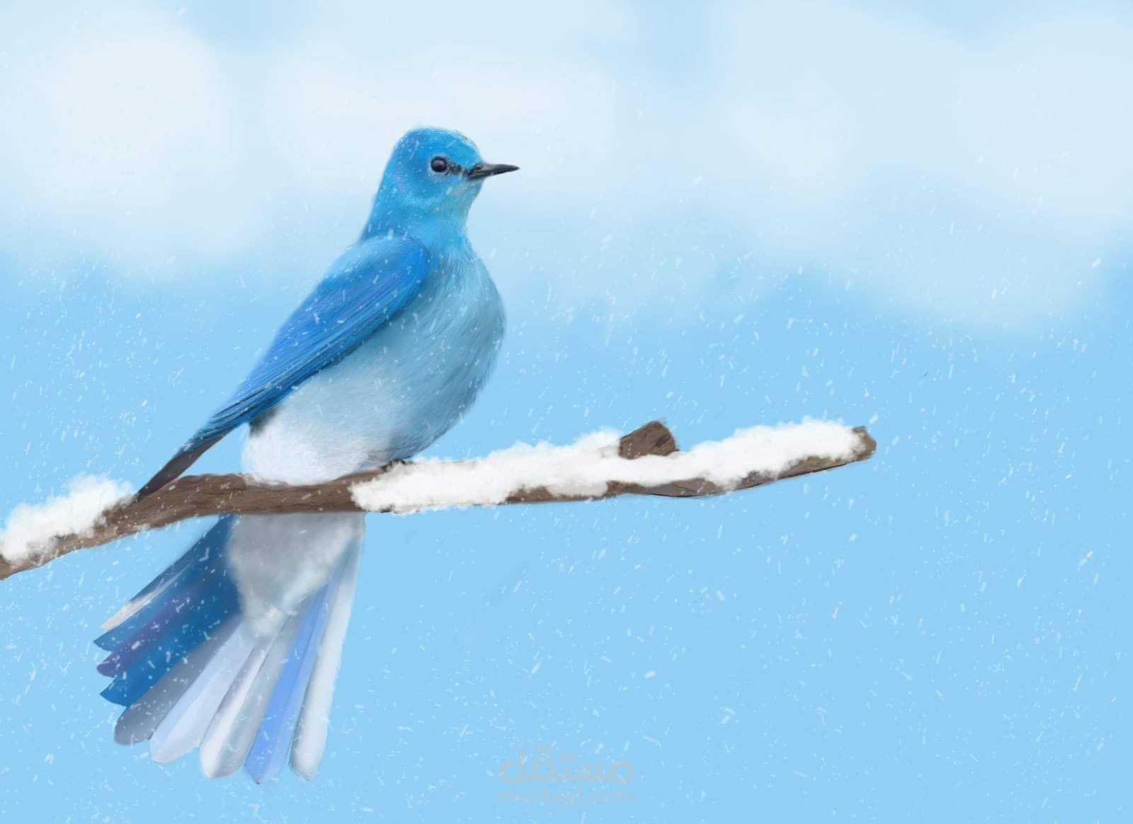 Digital Drawing Blue Bird