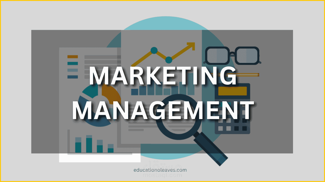 Marketing expert