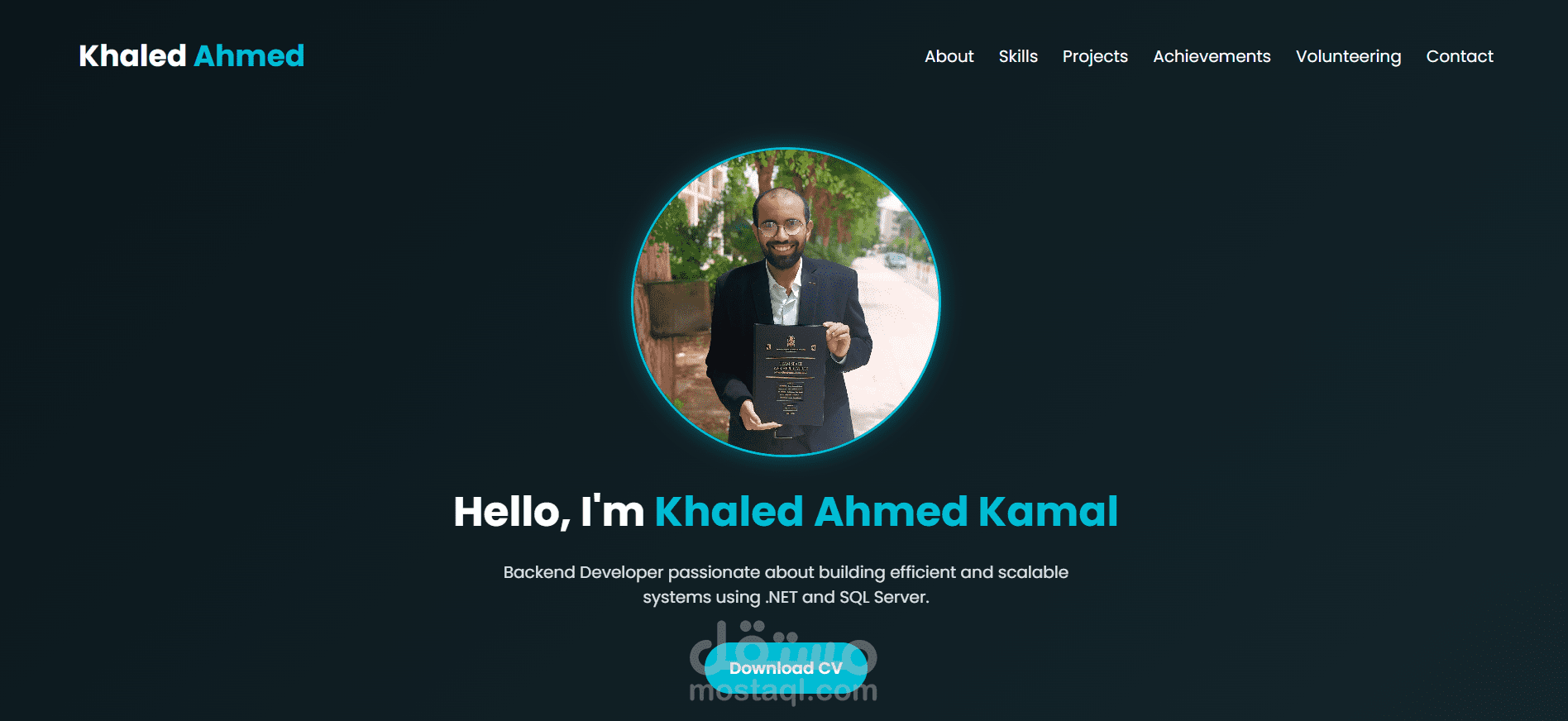 PDF & Website Portfolio