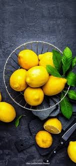 ازرع بنفسك أشجار الليمون
