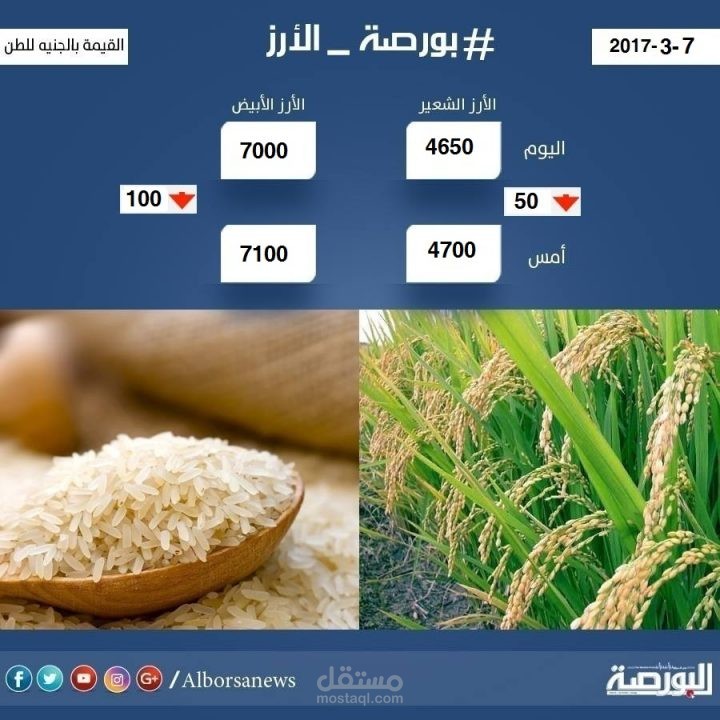 بورصة الارز في مصر