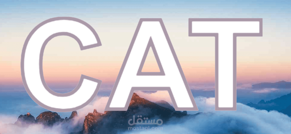 موقع تواصل اجتماعي باسخدام vue.js و firebase