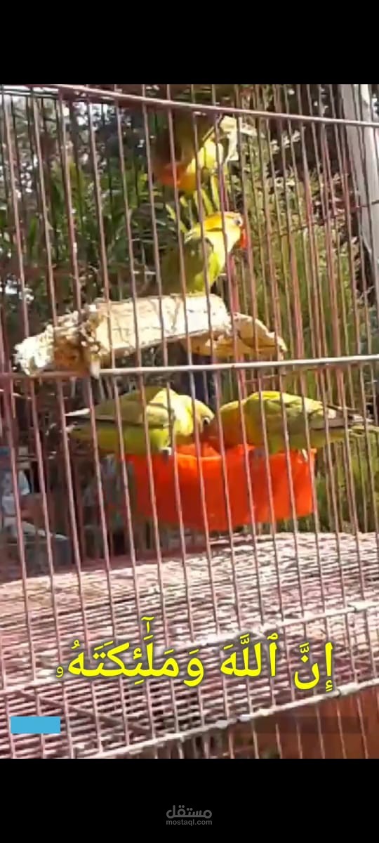 عمل مقاطع reels