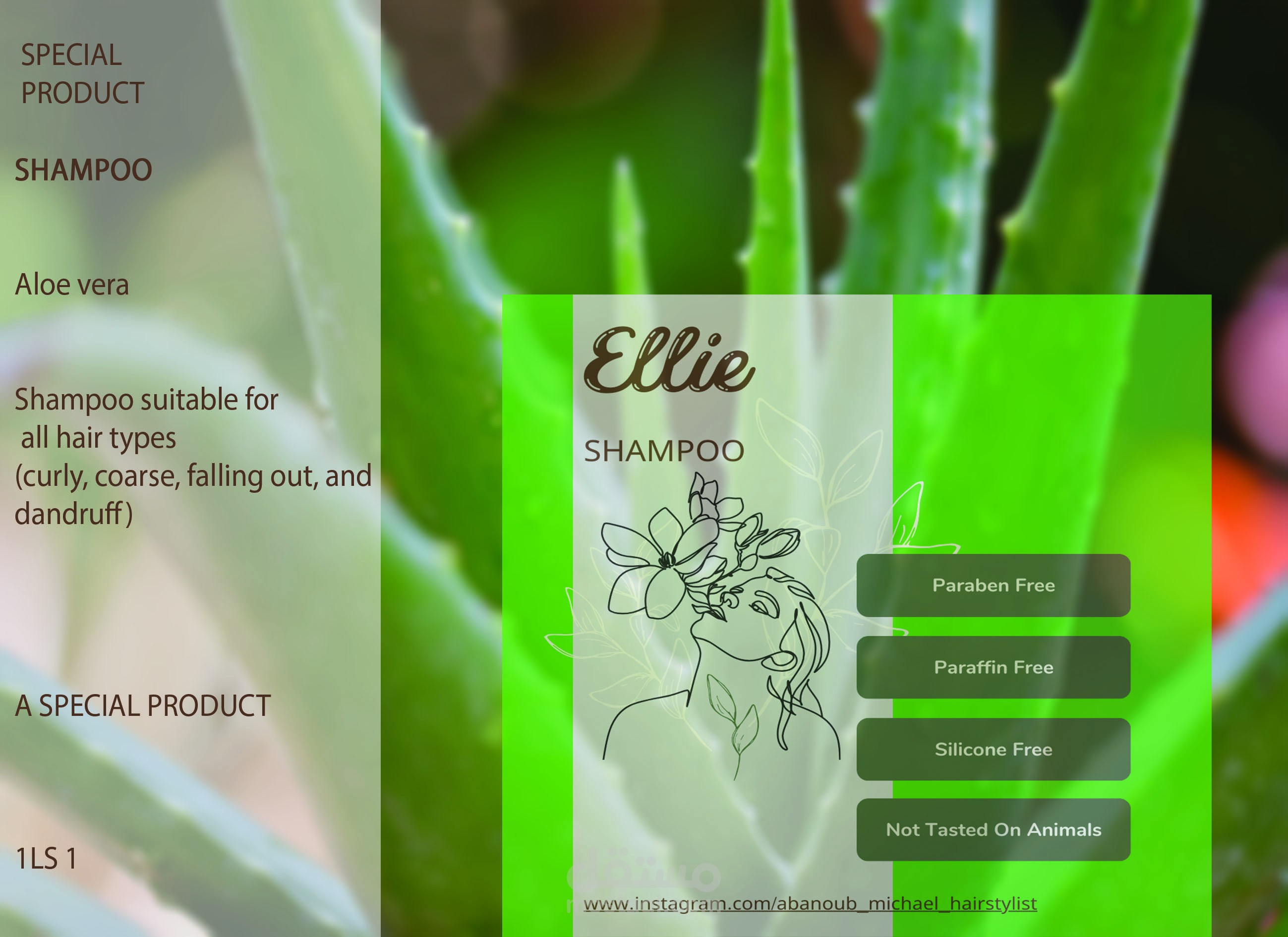 shampoo product sticker