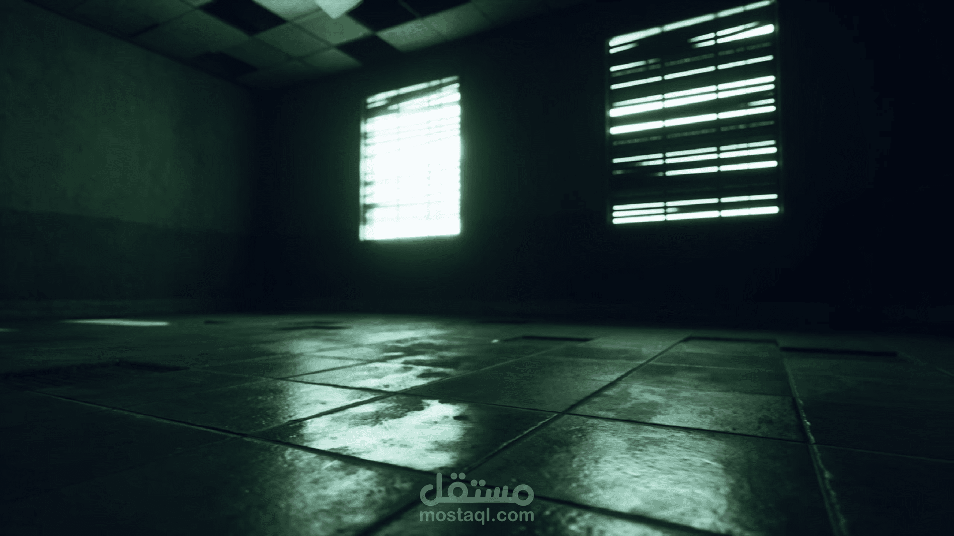 تصميم فيديو وعمل تعليق صوتى للفيديو
