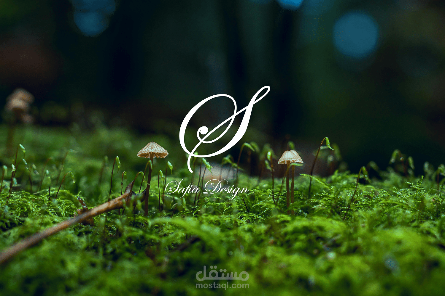 تصميم هوية بصرية كاملة باحترافية عالية