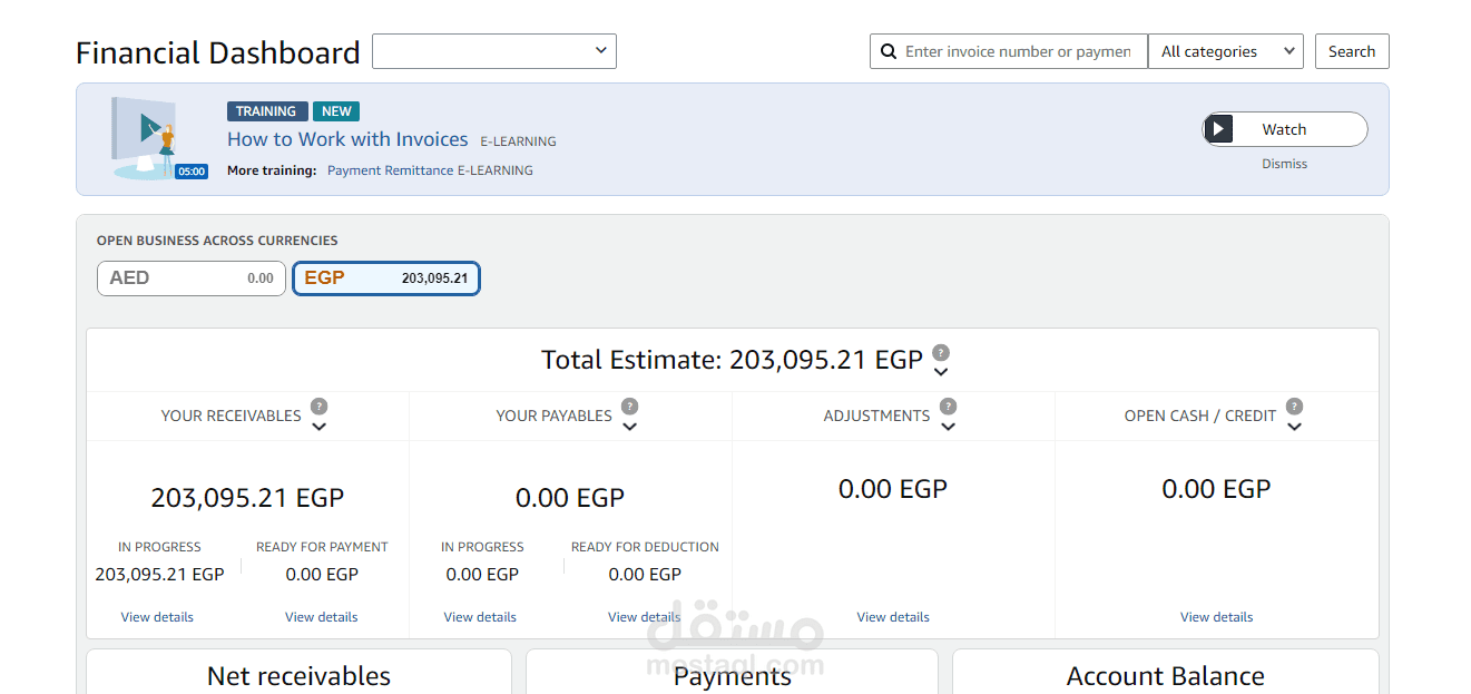 إدارة حساب Amazon Vendor Central وتحقيق أكثر من 200,000 جنيه مستحقات من خلال تشغيل احترافي وتحليل مالي دقيق