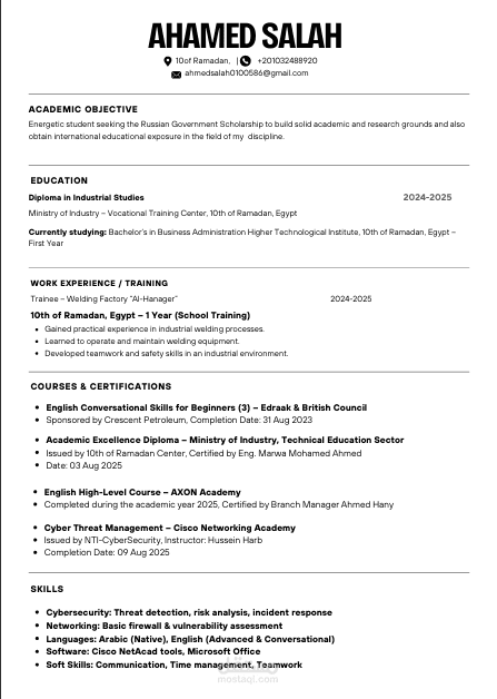 professional cv