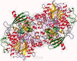 Potential Inhibitor of Adenylyl Sulfate Reductase Isolated from Desulfovibrio desulfuricans with PU/PU-Ag to Control Pitting Corrosion of Oil Tanks and Pipelines