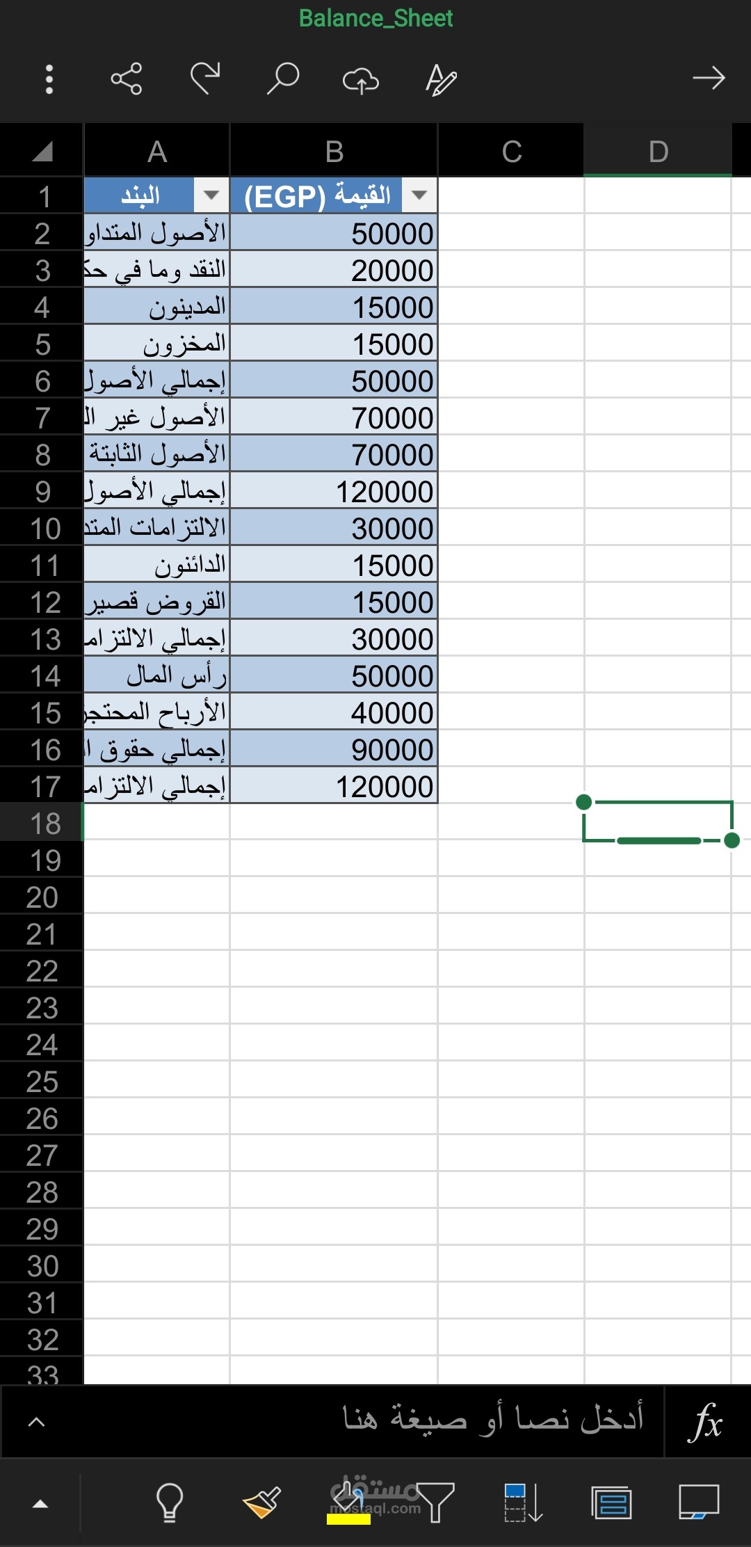 ميزانية عمومية