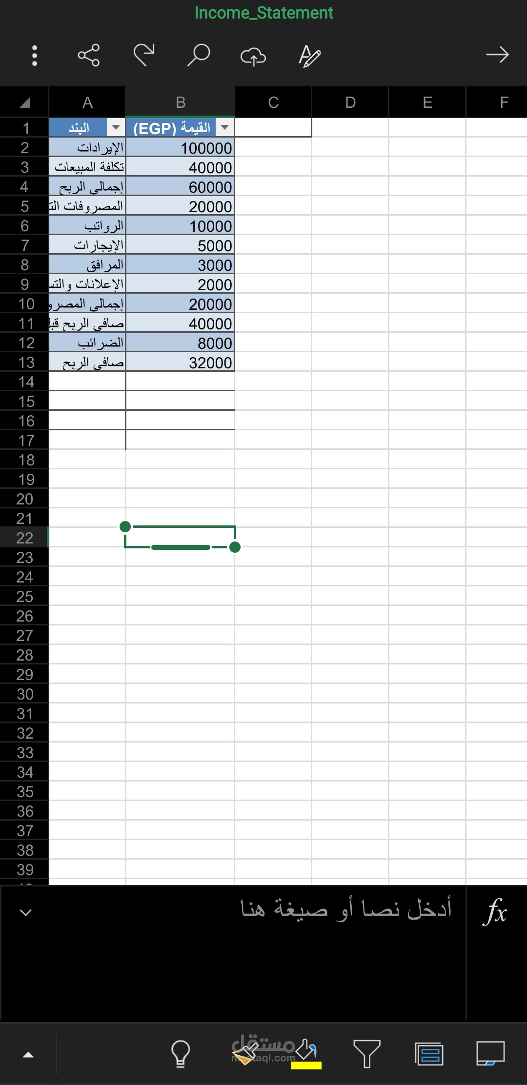 قائمة دخل