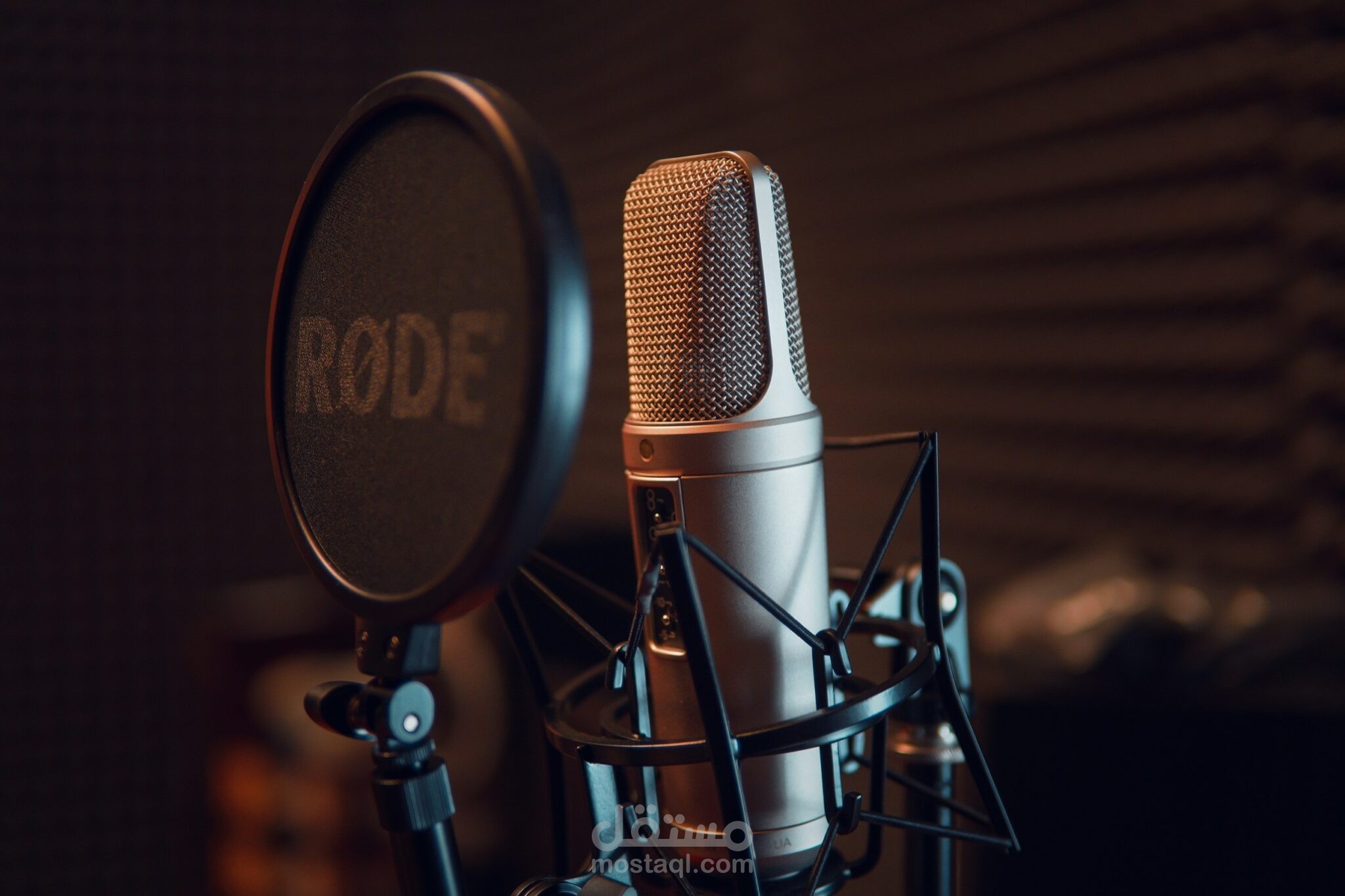 التعليق الصوتي للإعلانات الترويجيه