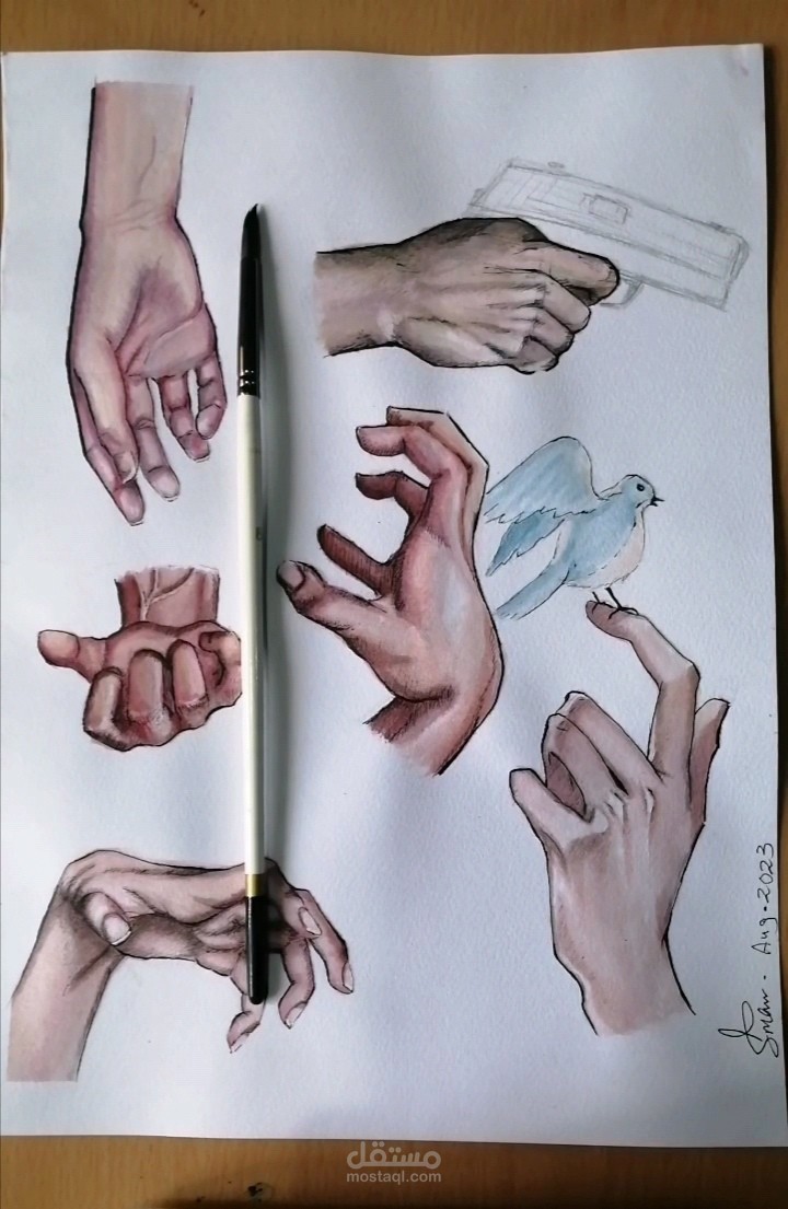 رسم بالوان