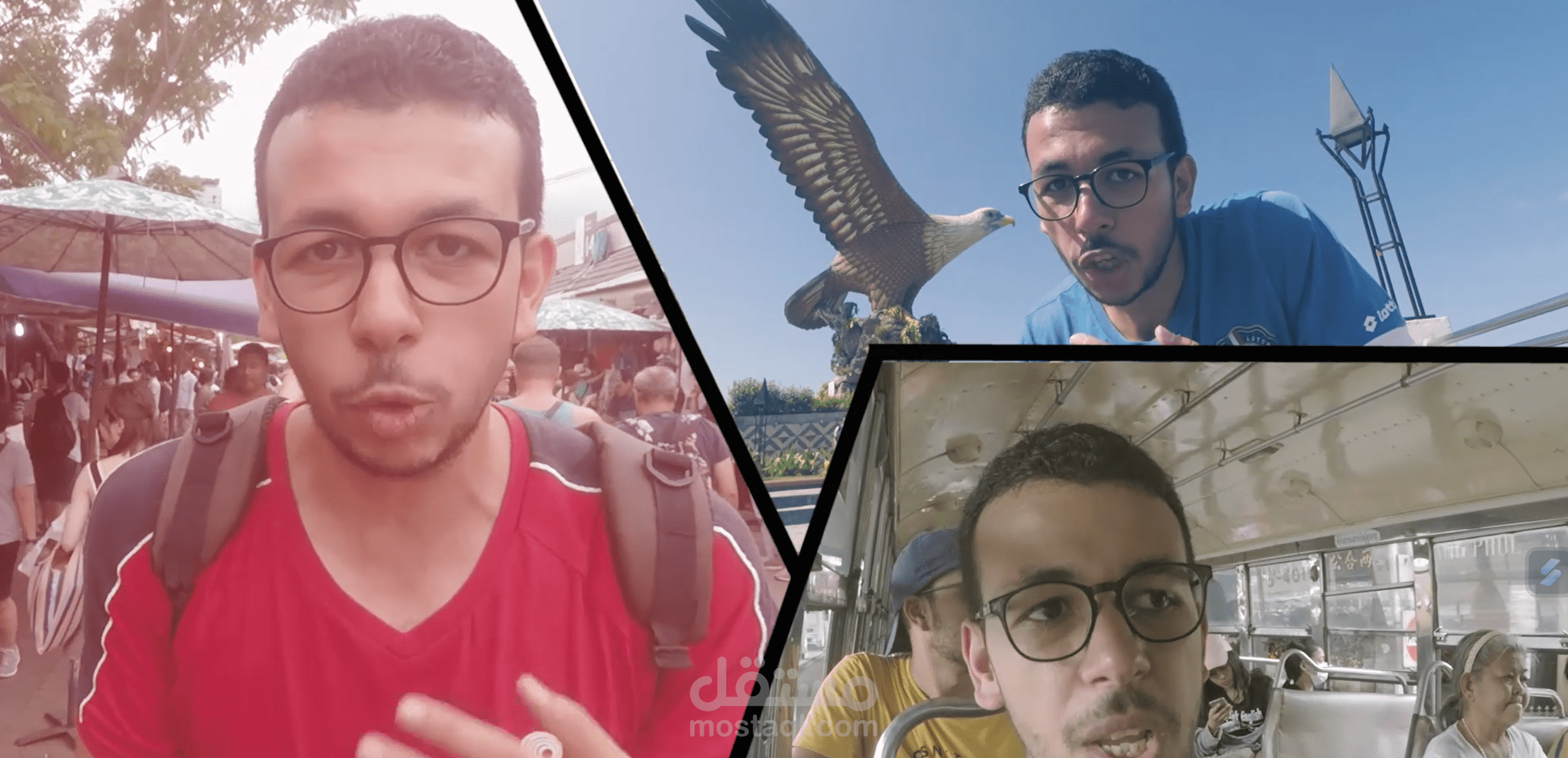 مقدمة فلوجز