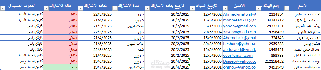 قاعدة بيانات باستخدام Excel لأكاديمية كرة قدم