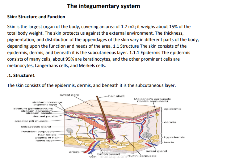 Investigating the Role of the Integumentary System in Wound Healing: A Comprehensive Study