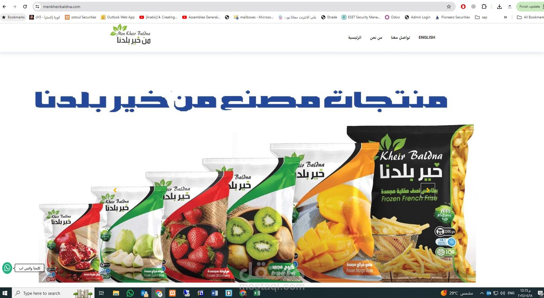 تصميم وبرمجة موقع انترنت من خير بلدنا
