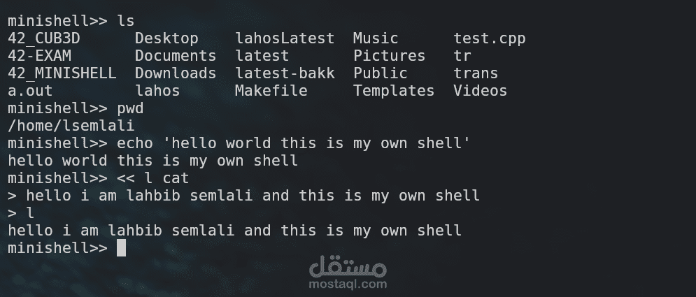 minishell: A Basic Shell Implementation (Individual Project)