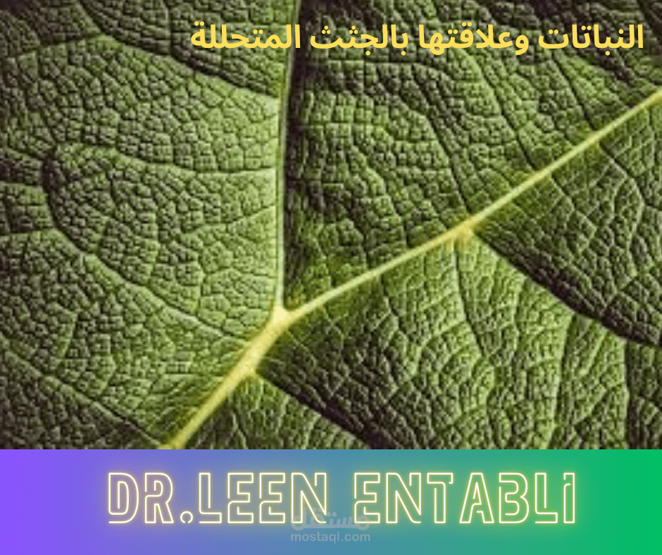 مقال علمي عن كيف تكشف النباتات عن الجثث المتحللة؟