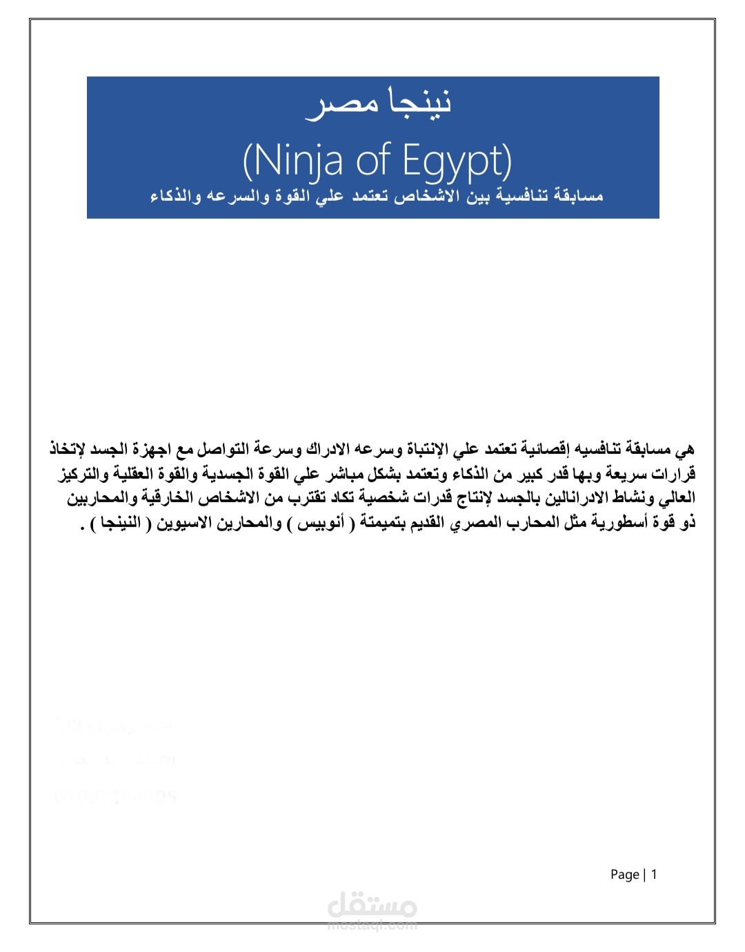 نينجا مصر