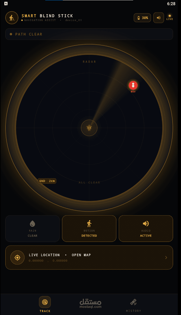 smart blind stick