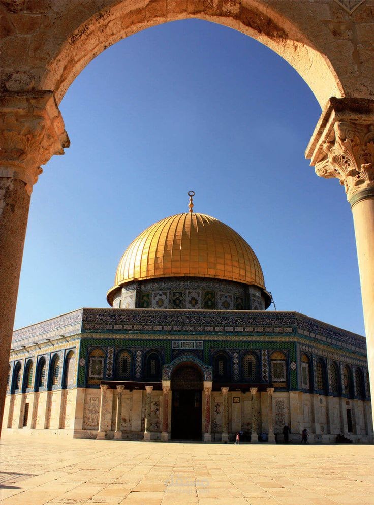 فلسطين ارض العزه والكرامه