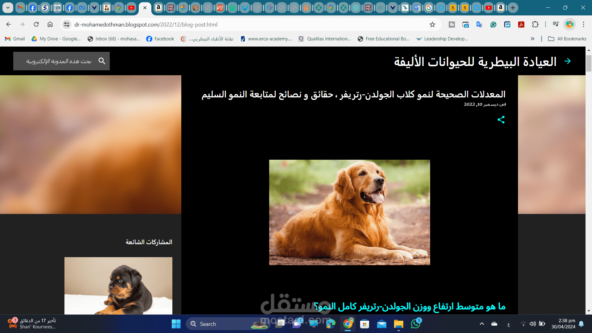 مدونة تحتوى على مقالات عن رعاية الحيوانات الأليفة