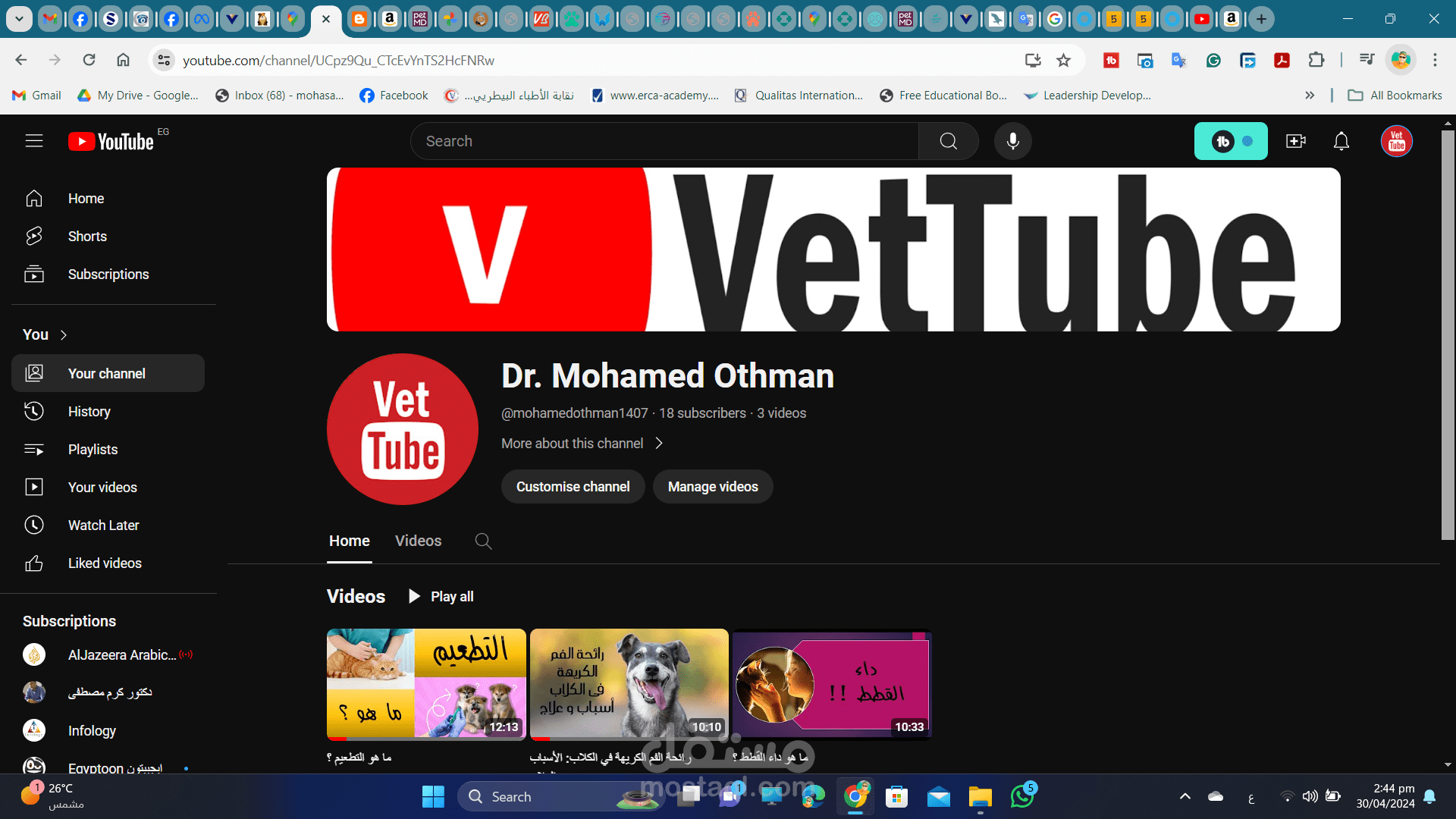 قناة vet-tube