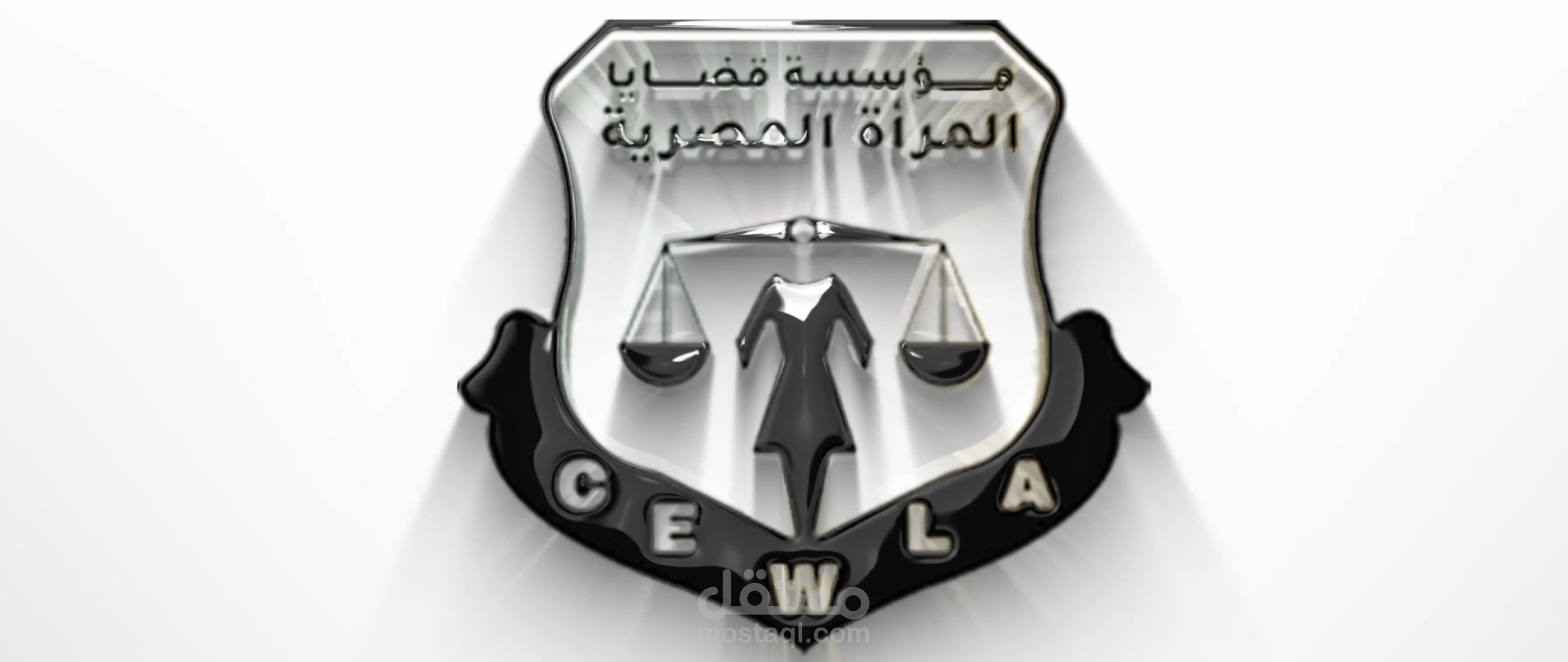 مونتاج شامل لتوثيق إنجازات برنامج "المشاركة العامة للنساء" على مدار عام