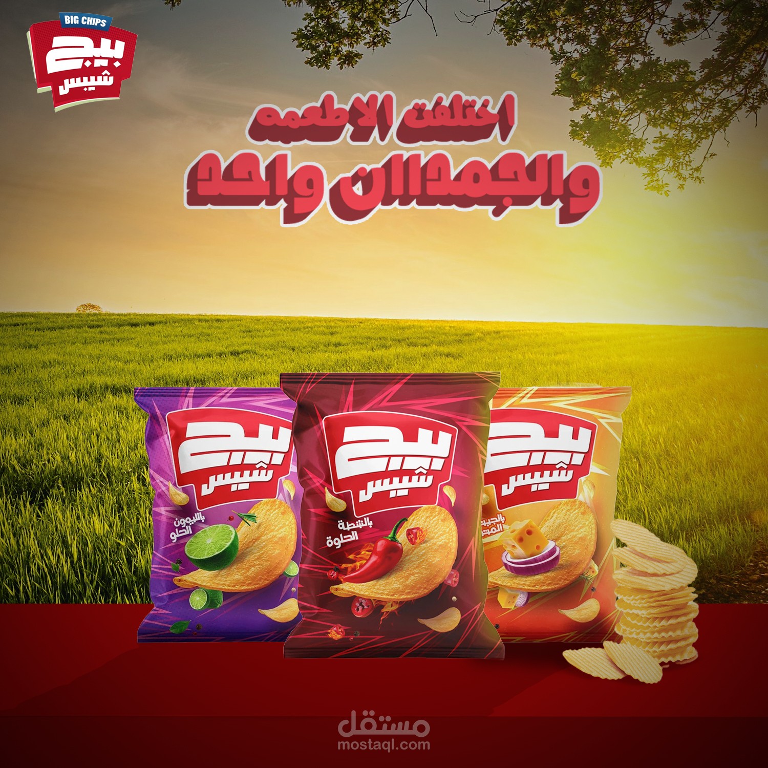 تصميم سوشيال ميديا غير منشور لشركة بيج