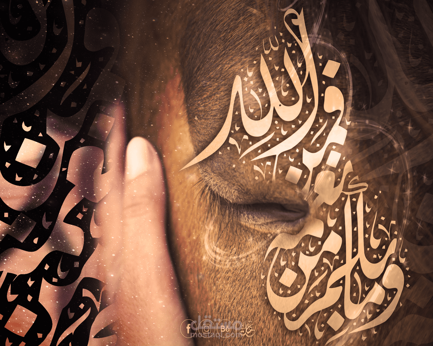 مخطوطات على الخيل