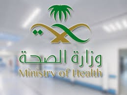 Saudi Mental Health Excel Program: Enhancing Well-Being through Data Analysis