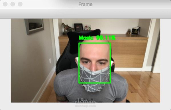 Face Mask Detection