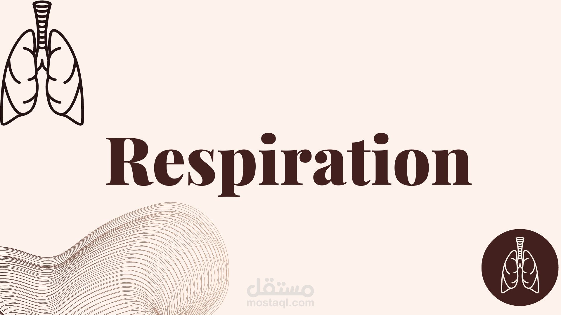 عرض باوربوينت لطلاب في احد الجامعات