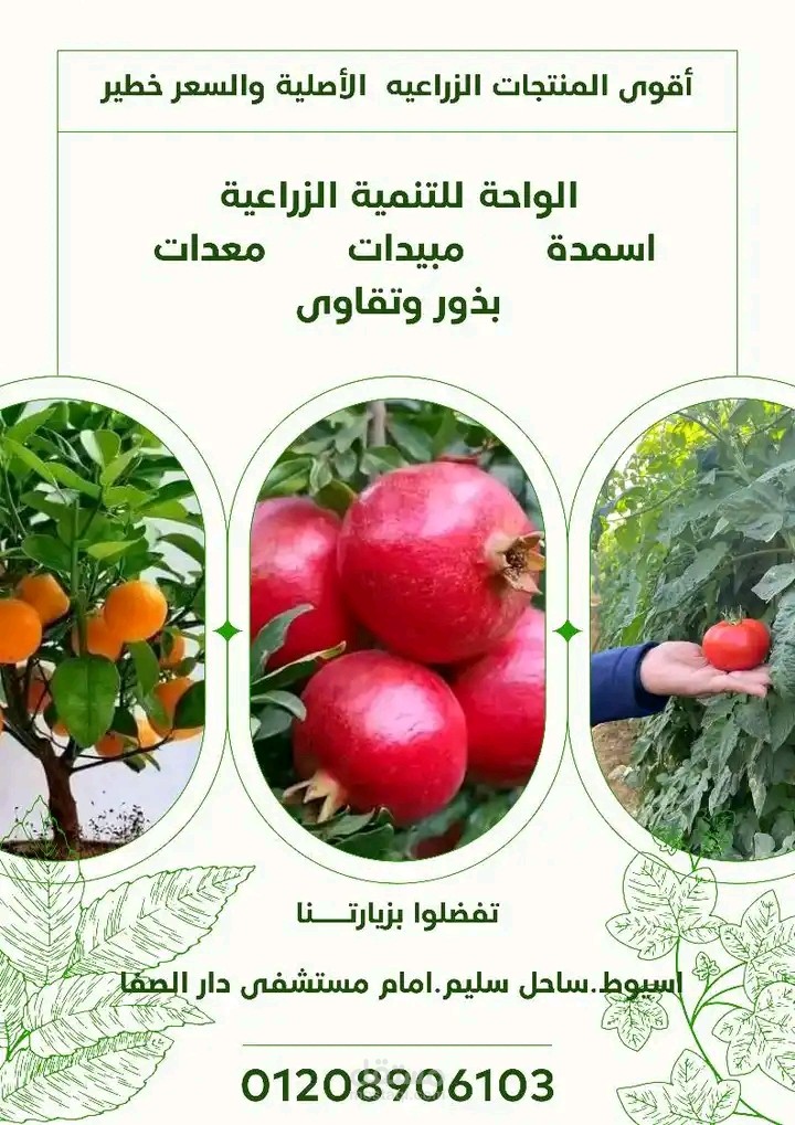 نشرات اعلانية