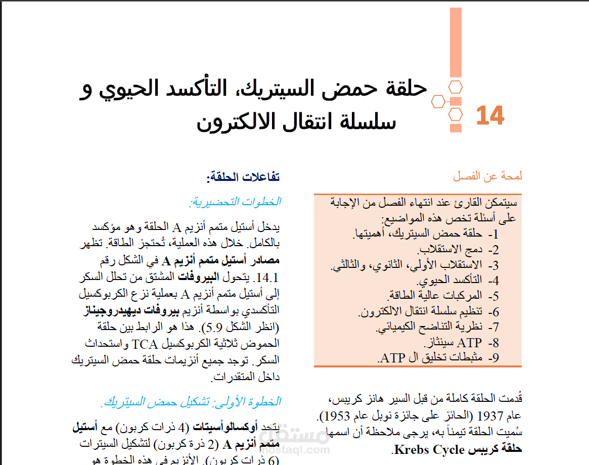 ترجمة وتدقيق مشروع عن حلقة كريبس لطالبة في كلية الصيدلة