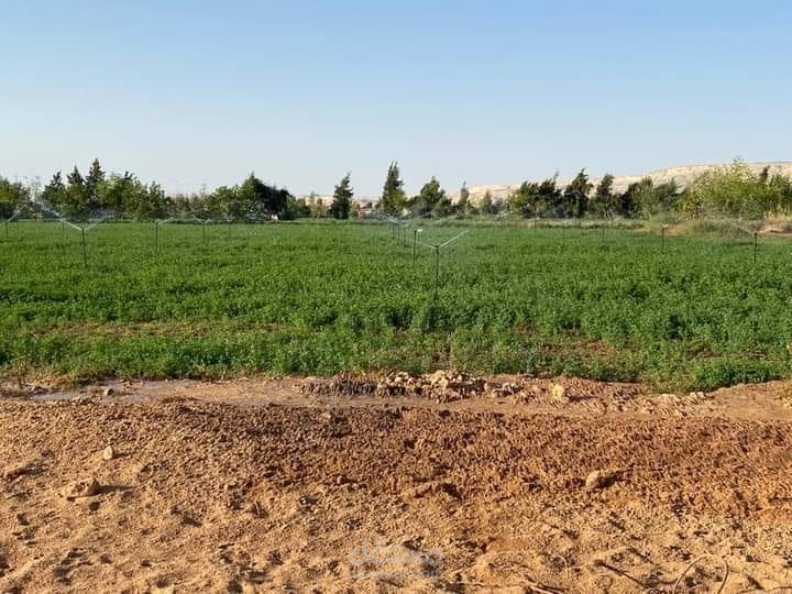 الزراعة المستدامة نحو مستقبل أكثر استدامة وتوازنًا