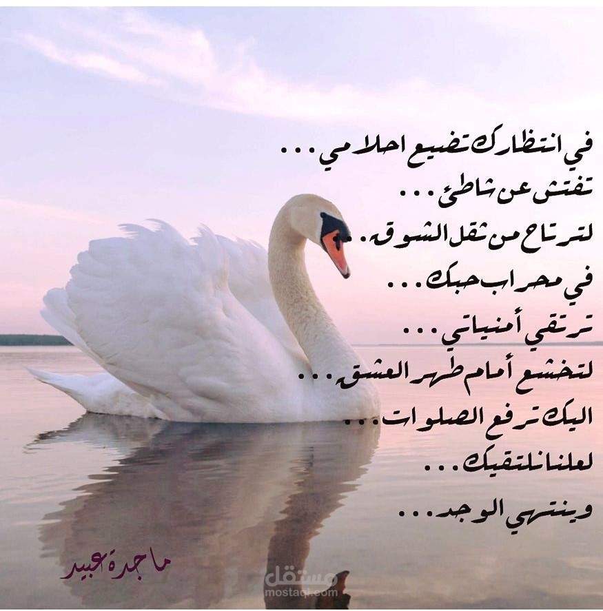 كتاب "مداد النّجاح" وهوكتاب تعليمي للصّفّ التّاسع.