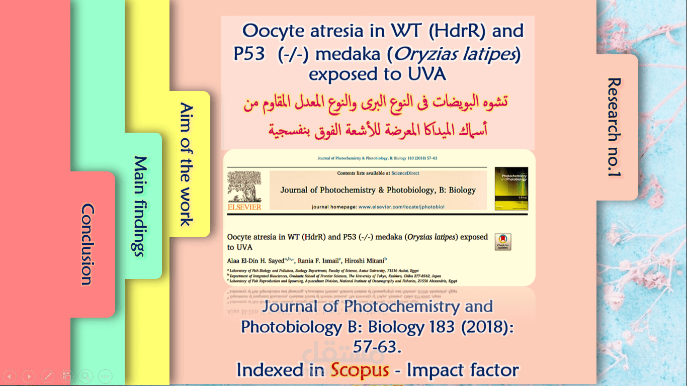 تصميم Infographic Presentation لترقية علمية
