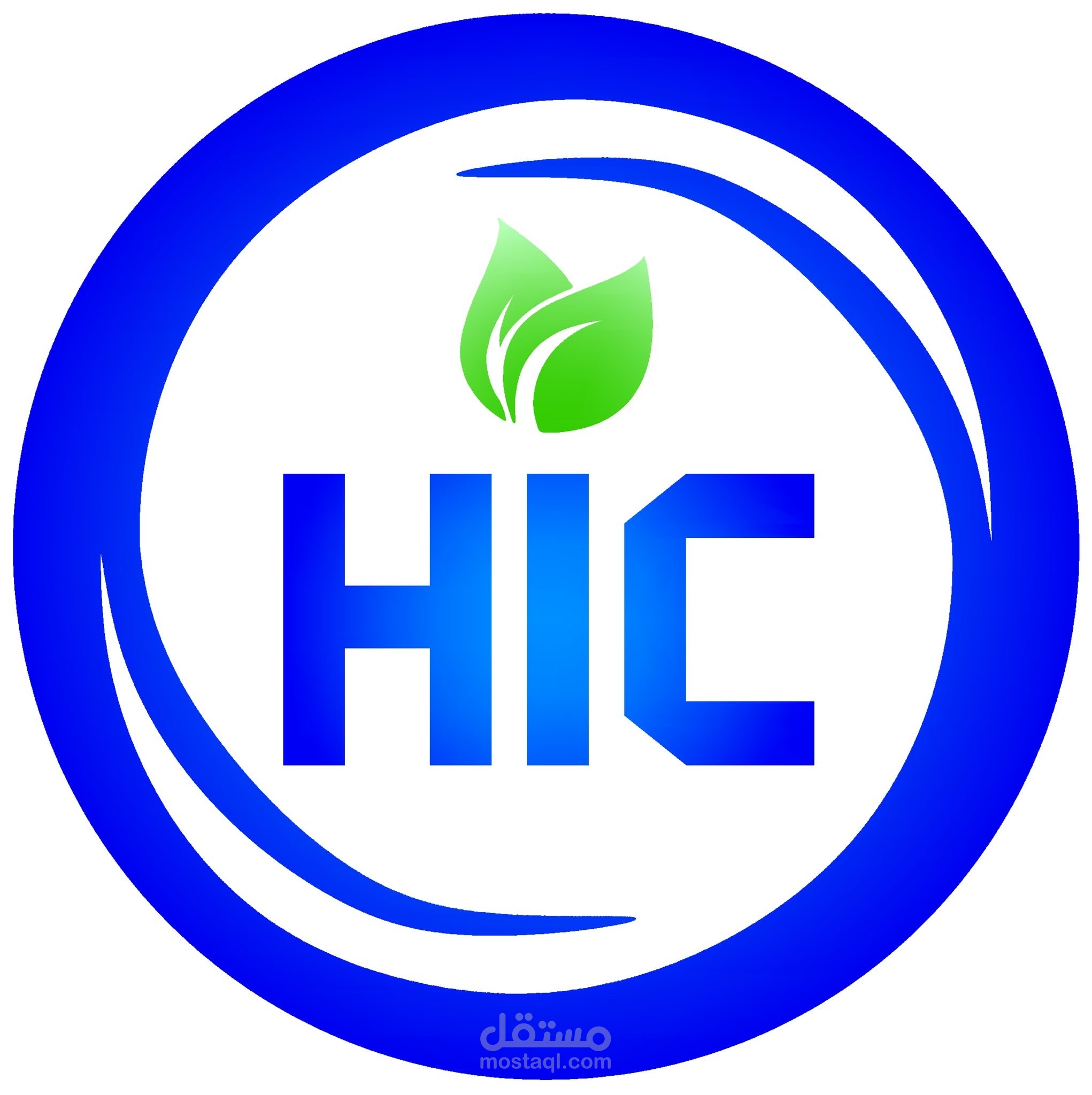 Chief of accounts In HIDECO International Company