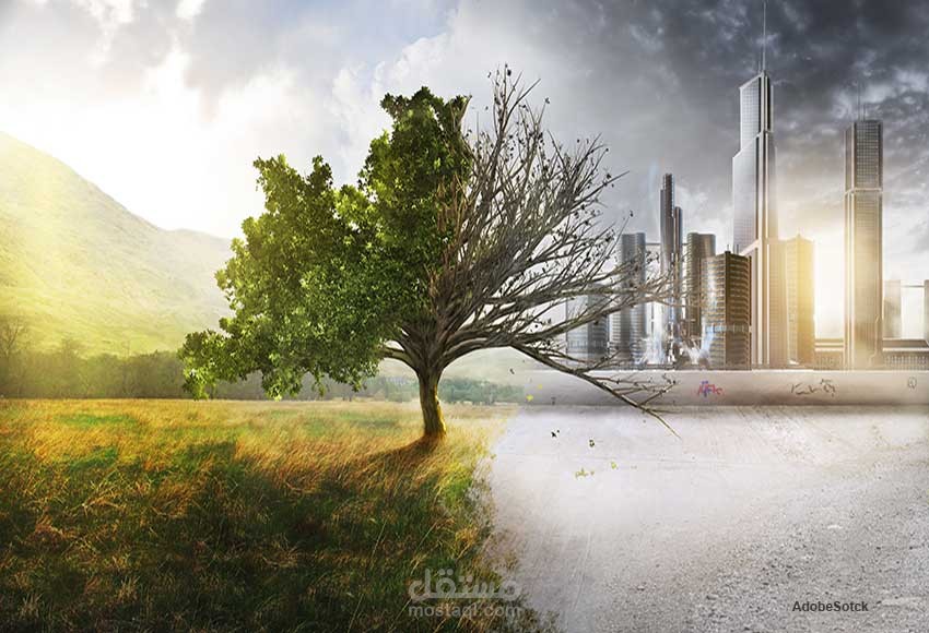 The environment