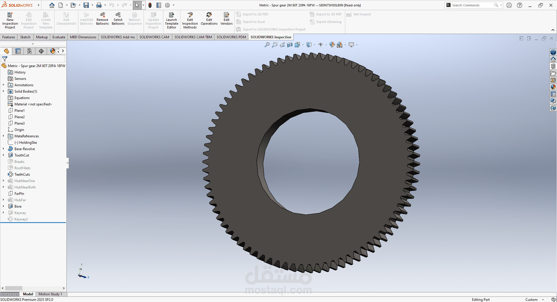 spur gear