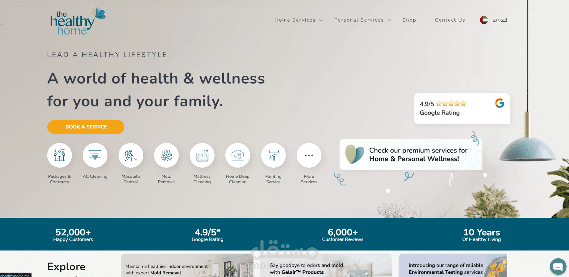 المنزل الصحي (The Healthy Home)