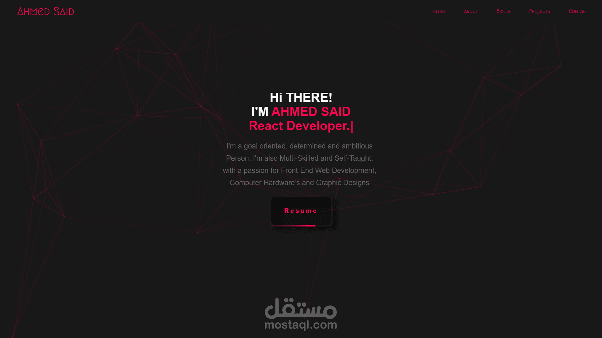 Ahmed Said Portfolio Website