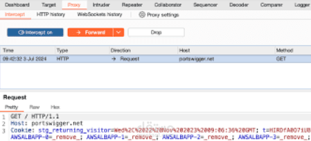 Web Traffic Interception using Burp Suite