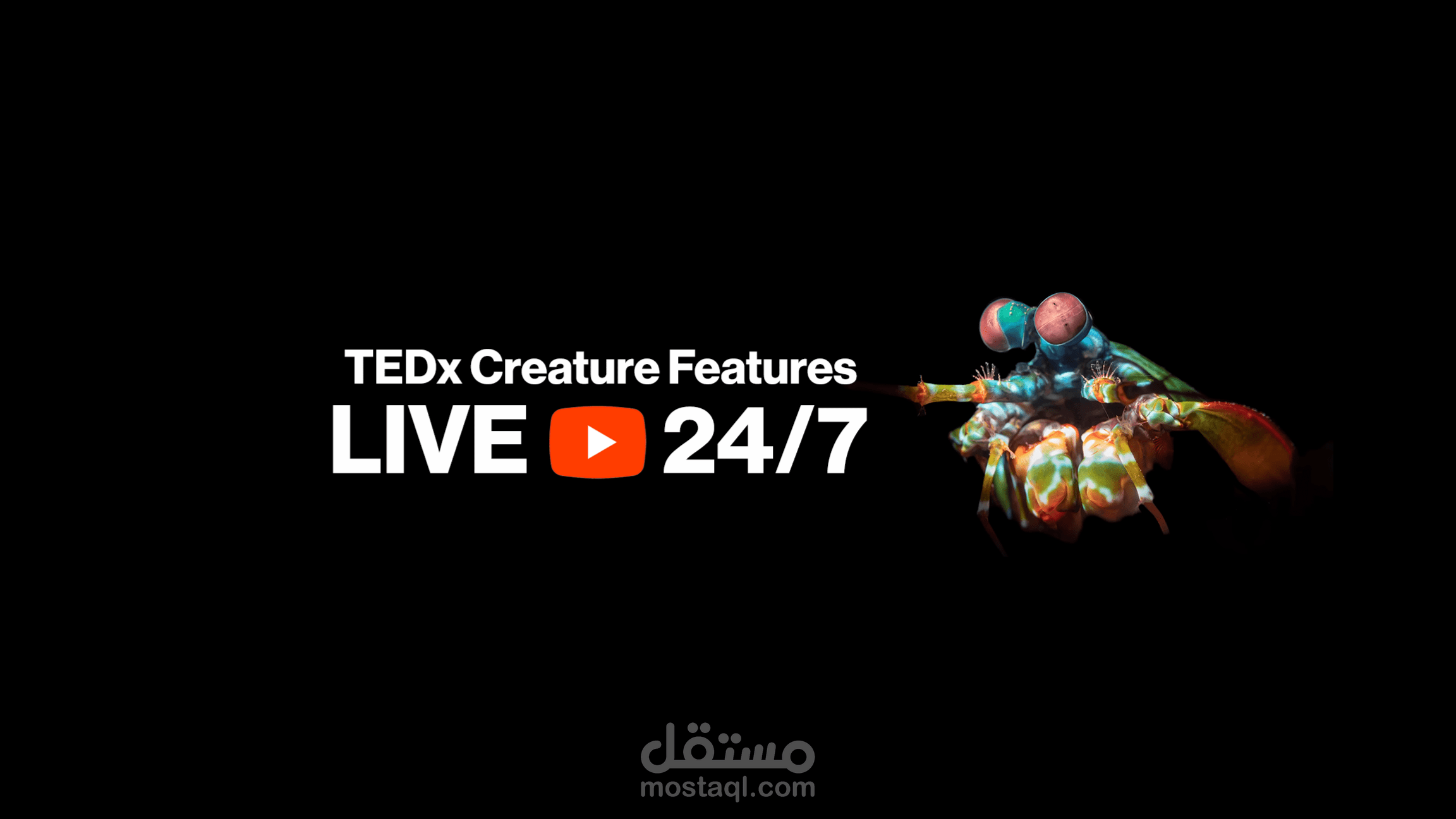 TEDxEt Tagammo Kids TEDx Talks