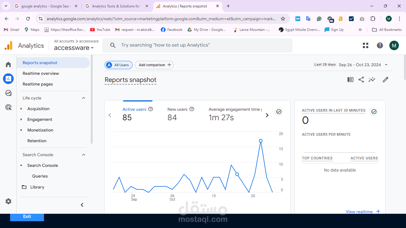 عمل شغل seo وجعل موقع شركة اكسيسوير اول نتيجة فى اول صفحة