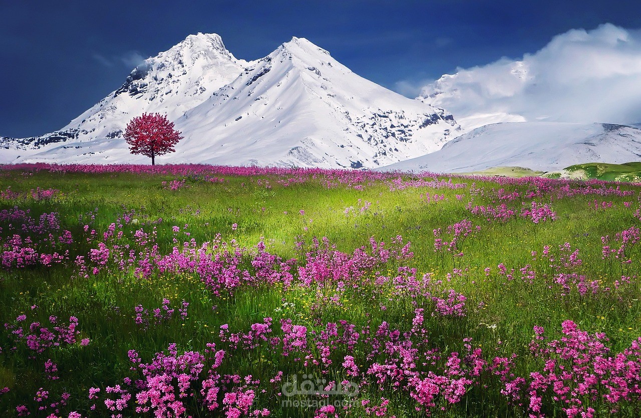 مقال عن الجمال